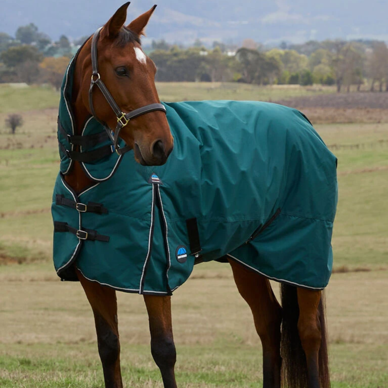 Weatherbeeta Comfitec Classic Turnout Combo 360g Rug in Forest Green/Black-1